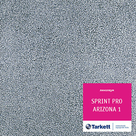 Линолеум SPRINT PRO Аризона 1 шир. 3.5 м